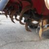 13-1.jpg Tracteur Yanmar d’occasion de 14 chevaux